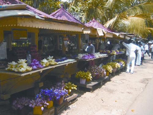 斯里兰卡“莲花街” 印度洋上的一朵莲花