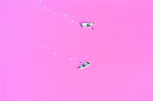 草莓奶昔湖？荡漾塞内加尔粉红湖上