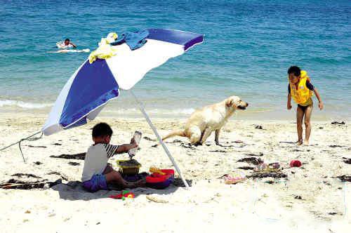 夏日清新小岛行 渔家风情浓郁的大甲岛