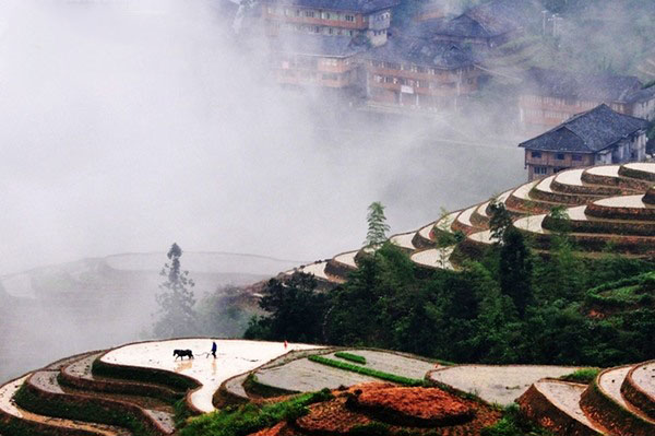 雾锁深山 作者：清明谷雨