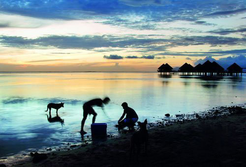 大溪地(Tahiti)-大溪地岛间交通