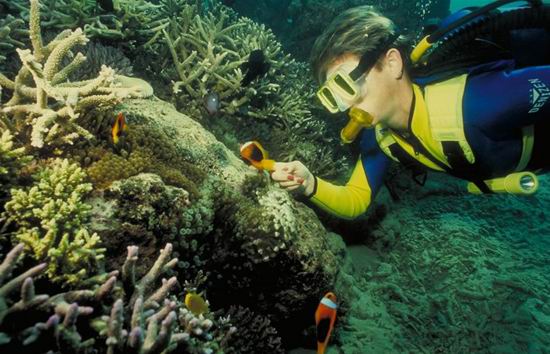 去马尔代夫收养珊瑚 享受绿色生态假期