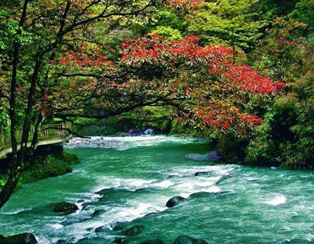万盛黑山谷沟连沟 探秘中国西部百慕大
