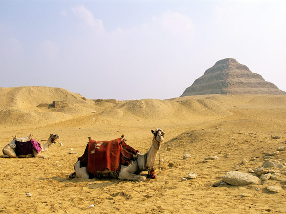 萨加拉金字塔-埃及价低人少的景点