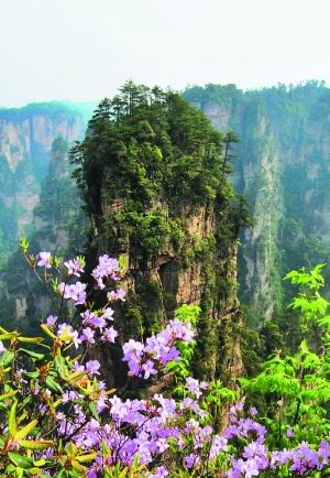 高铁去衡阳武陵山恋恋桃花