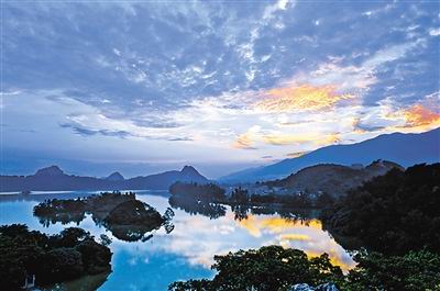 冬游肇庆 去湿地观候鸟回巢
