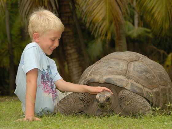 到塞舌尔旅游-神奇海椰子和巨龟