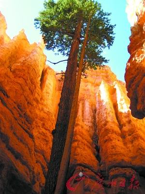 美国犹他州的Powell湖（Lake Powell）和布莱斯峡谷（Bryce Canyon）