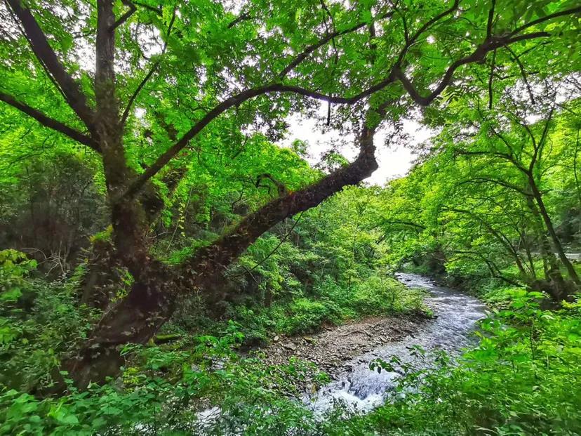 平江绊山度假山庄