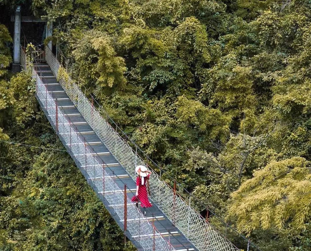 郴州莽山森林温泉酒店