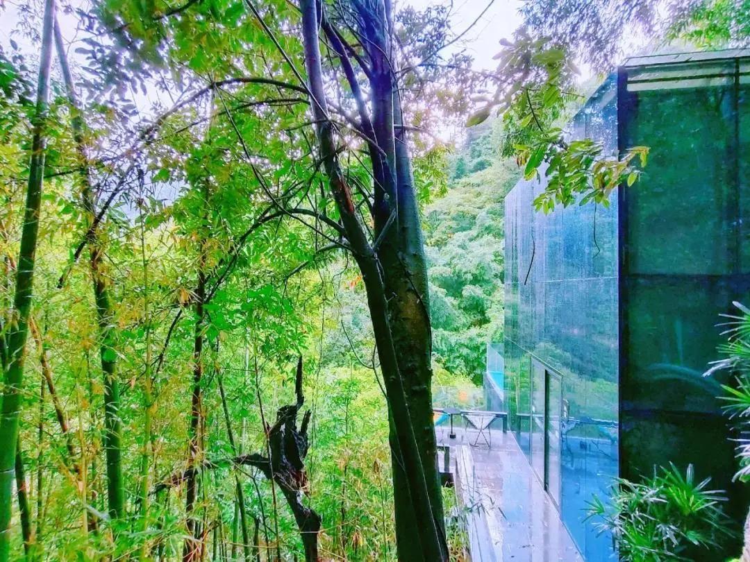 郴州莽山森林温泉酒店