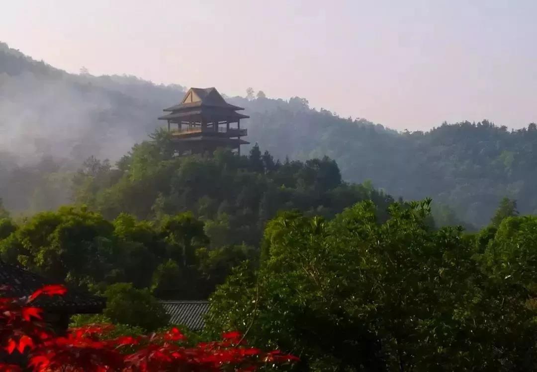 铜鼓汤里森林温泉度假区